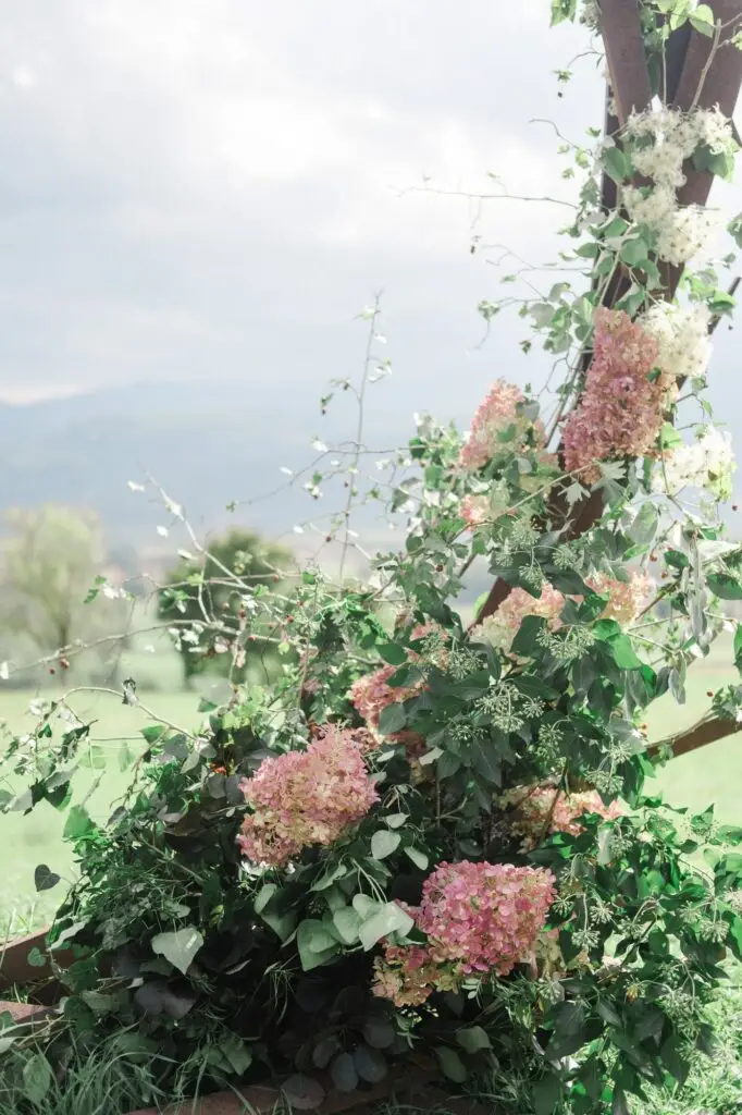 Close-up of pink hydrangeas and lush greenery on a rustic wooden wedding arch, adding natural elegance to an outdoor ceremony in Tuscany