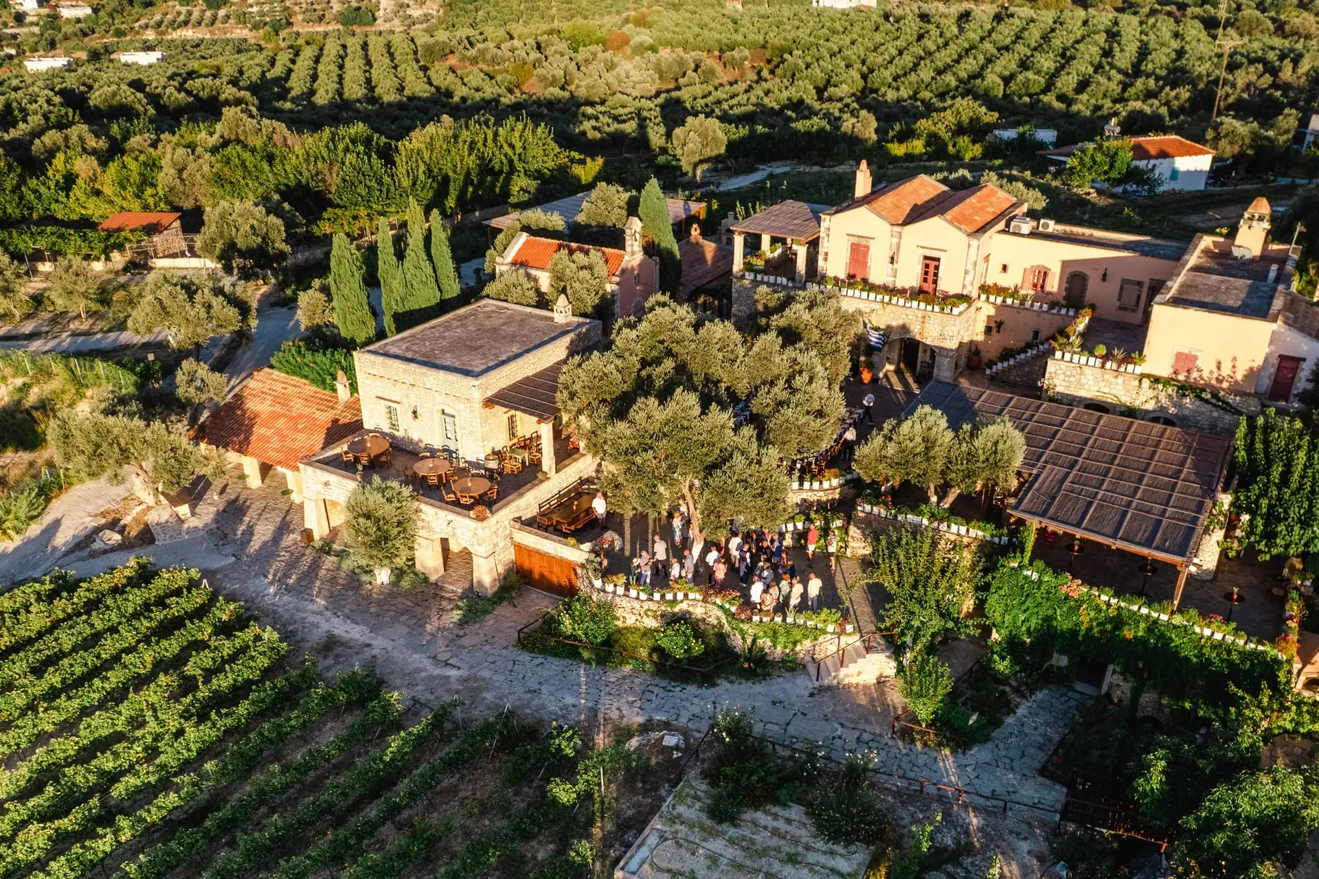 Vue aérienne du lieu de mariage Agreco Farm près de Rethymnon en Crète, domaine entouré d’oliviers photographié par Julien Boyer photographe de mariage
