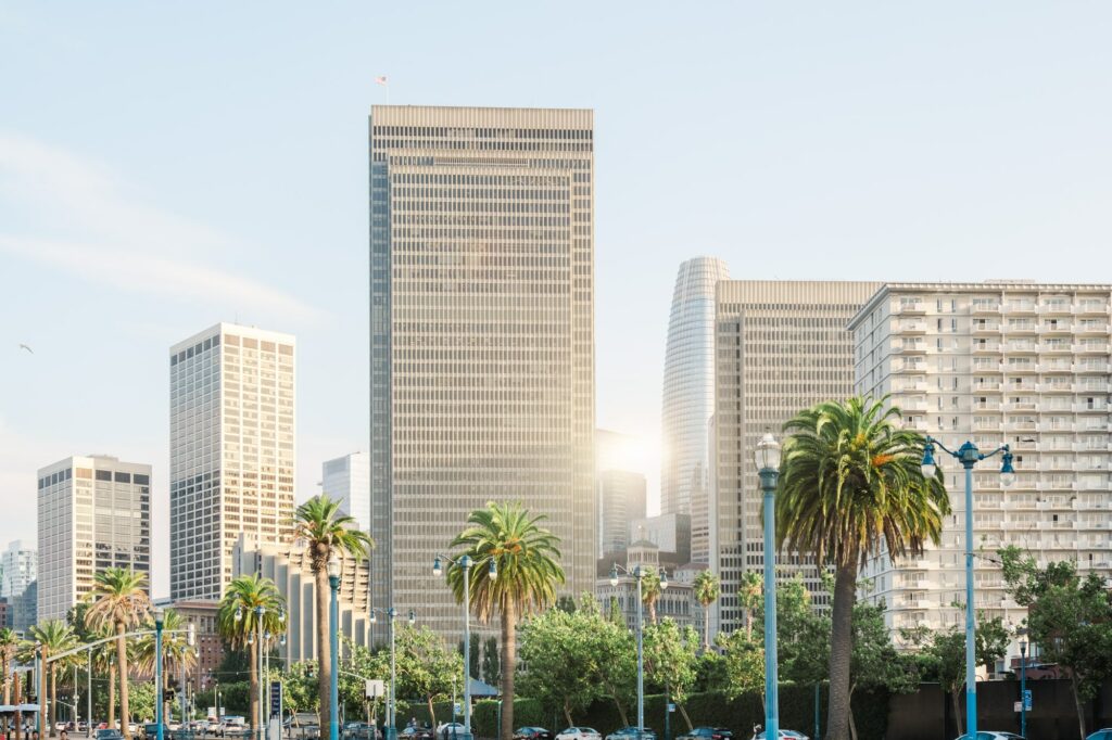 Palmiers et immeubles du centre-ville de San Francisco photographiés lors d’un mariage elopement en Californie par Julien Boyer